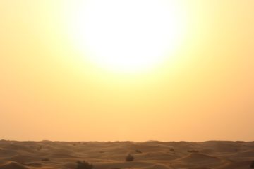 Sol en el desierto